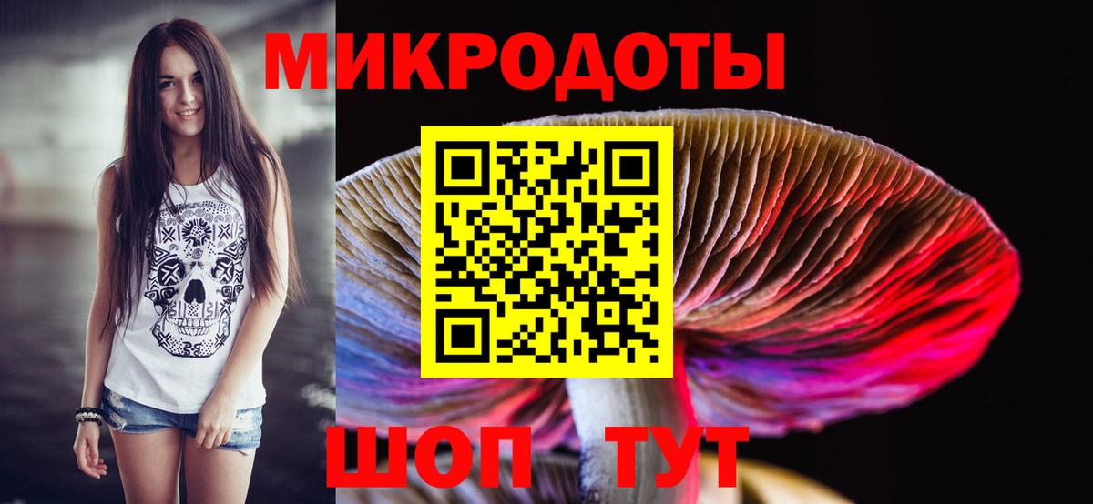Галлюциногенные грибы Magic Shrooms  Вход с VPN  Ачхой-Мартан  Псилоцибиновые грибы Psilocybine cubensis 